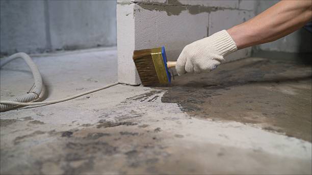 SJ Waterproofing Pros Waterproofing coverage map for Oakwood, GA and surrounding area